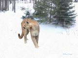 JohnSnow.jpg